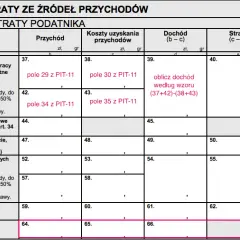 PIT-11 mailem: Uniknij kar! Bezpieczna wysyłka krok po kroku