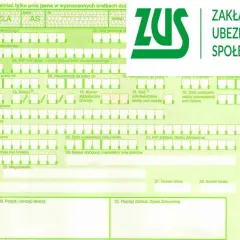 Formularz ZUS ZLA z zielonym logo ZUS.