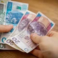 Bezpłatny staż: Kiedy jest legalny, a kiedy to pułapka?