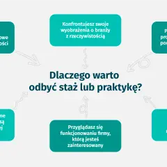 Praktyki a staż pracy: Kiedy się liczą, a kiedy nie?