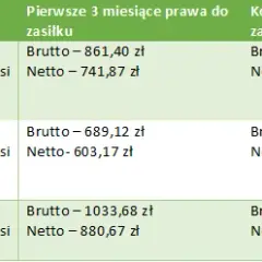 Ile za staż z urzędu pracy? Kwoty, prawa i Twoje netto!
