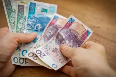 Bezpłatny staż: Kiedy jest legalny, a kiedy to pułapka?