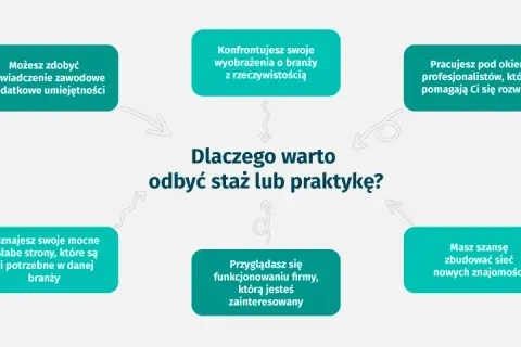 Praktyki a staż pracy: Kiedy się liczą, a kiedy nie?