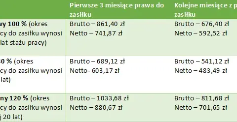 Ile za staż z urzędu pracy? Kwoty, prawa i Twoje netto!