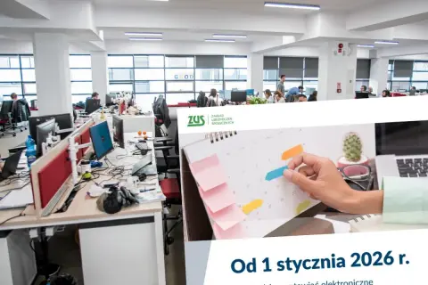 Staż to praca? Rozwiej wątpliwości o prawach i ZUS