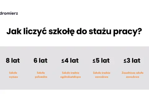 Staż pracy: co się wlicza? Oblicz swój urlop i prawa!
