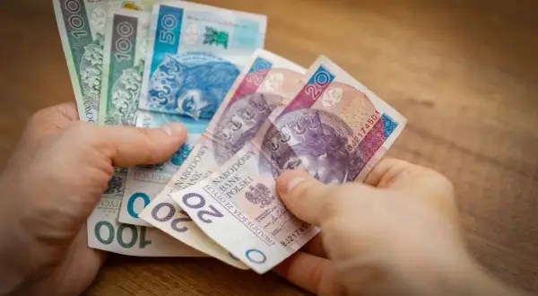 Bezpłatny staż: Kiedy jest legalny, a kiedy to pułapka?