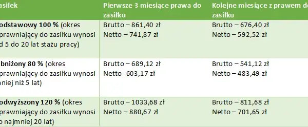 Ile za staż z urzędu pracy? Kwoty, prawa i Twoje netto!
