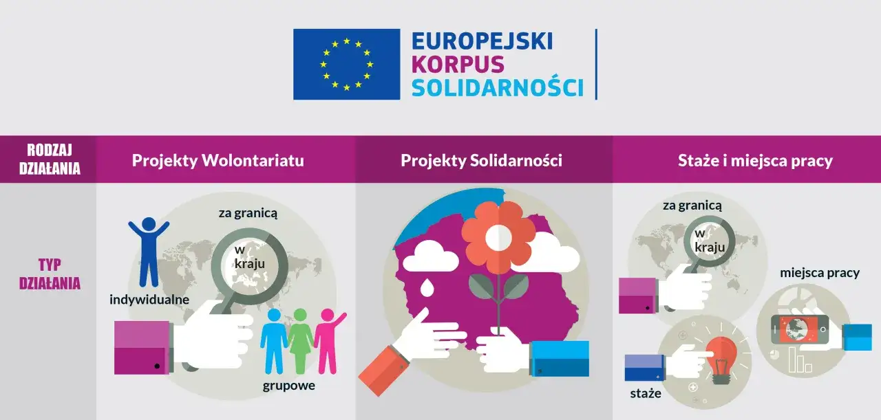 Rodzaje staży w Polsce infografika