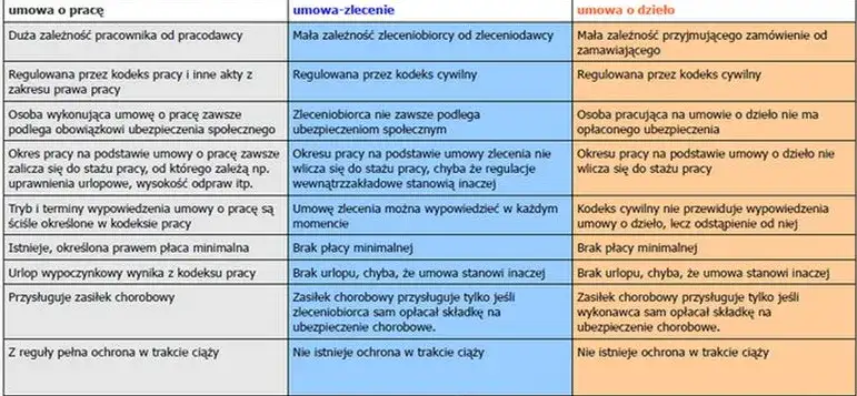 różne rodzaje stażu w Polsce