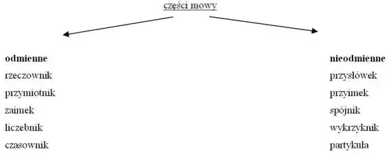 Zasady gramatyki języka polskiego
