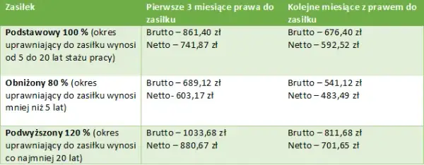 Ile za staż z urzędu pracy? Kwoty, prawa i Twoje netto!